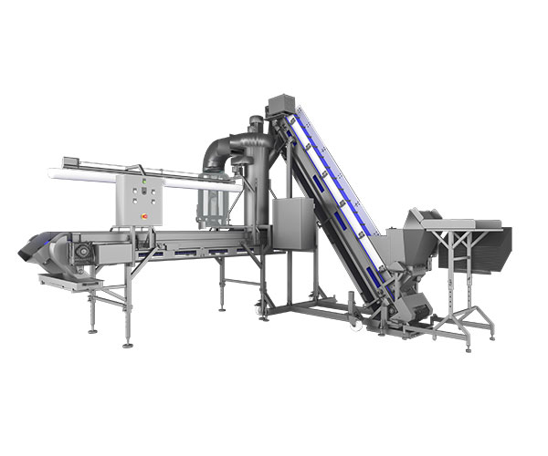 RAISIN (DRIED FRUIT) CLEANING LINE