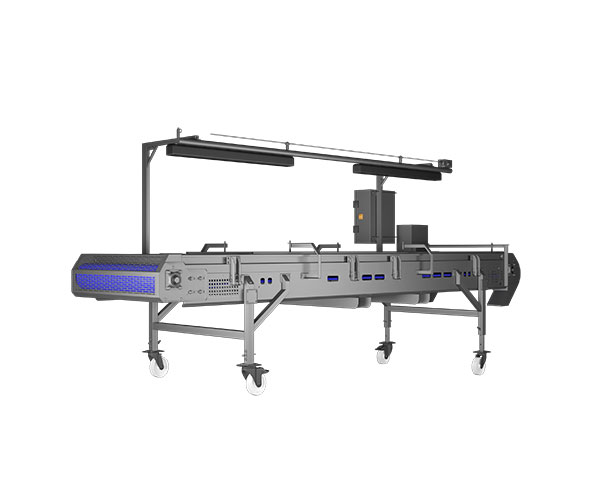 FLAT INSPECTION CONVEYOR